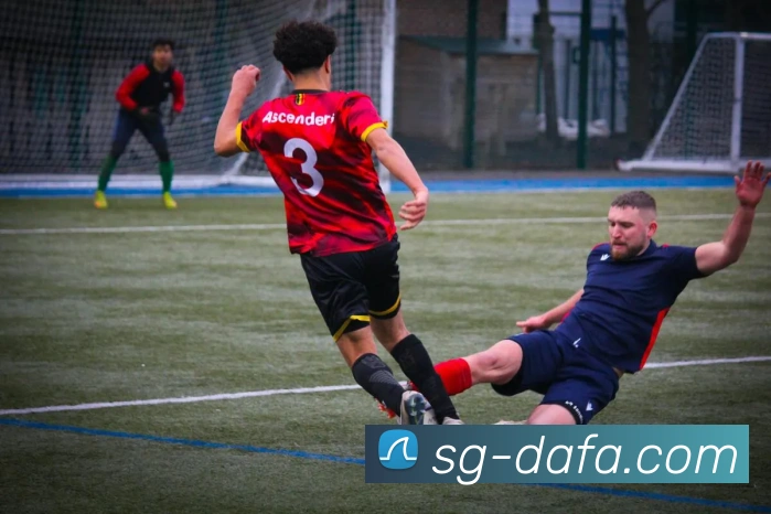 大发彩票平台生态图